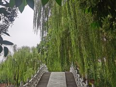 -西安市长乐公园