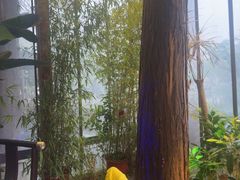 -洈水谣 · 地道荆州松滋菜(菱角湖公园店)