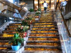 自助取餐区-龙的酒楼·手工早茶·顺德菜(近良路店)