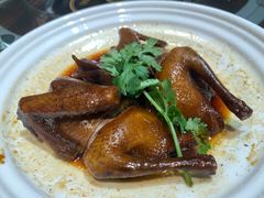 -旺金鸽·传承15年老字号·手工早茶(荔湾坦尾桥中店)