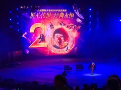 -广州长隆国际大马戏