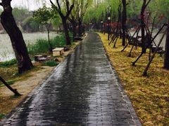 清晏园-清晏园