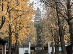 -虎丘山风景名胜区