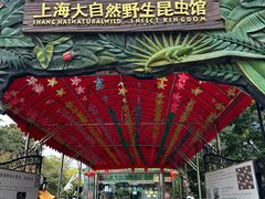 -上海大自然野生昆虫馆(东方明珠·爬宠昆虫探索中心)
