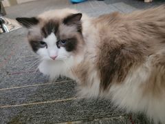 -零纪元VR体验馆·桌游(黄浦店)