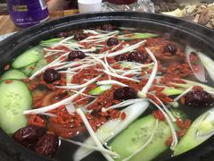 -金鼎雪山牦牛杂火锅(理县总店)