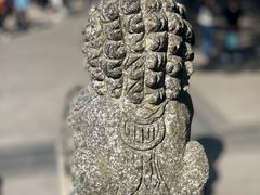 -深圳仙湖植物园