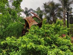 -枫香湖儿童公园