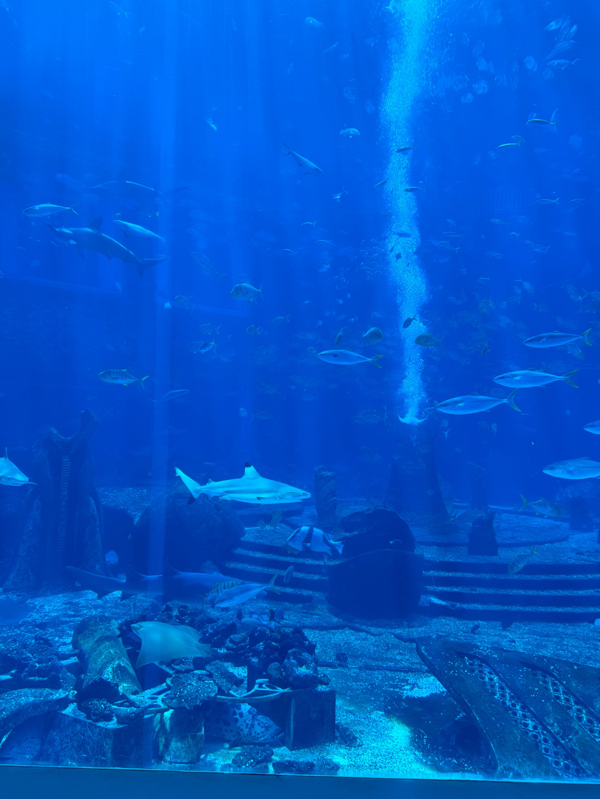 米加小镇水族馆图片