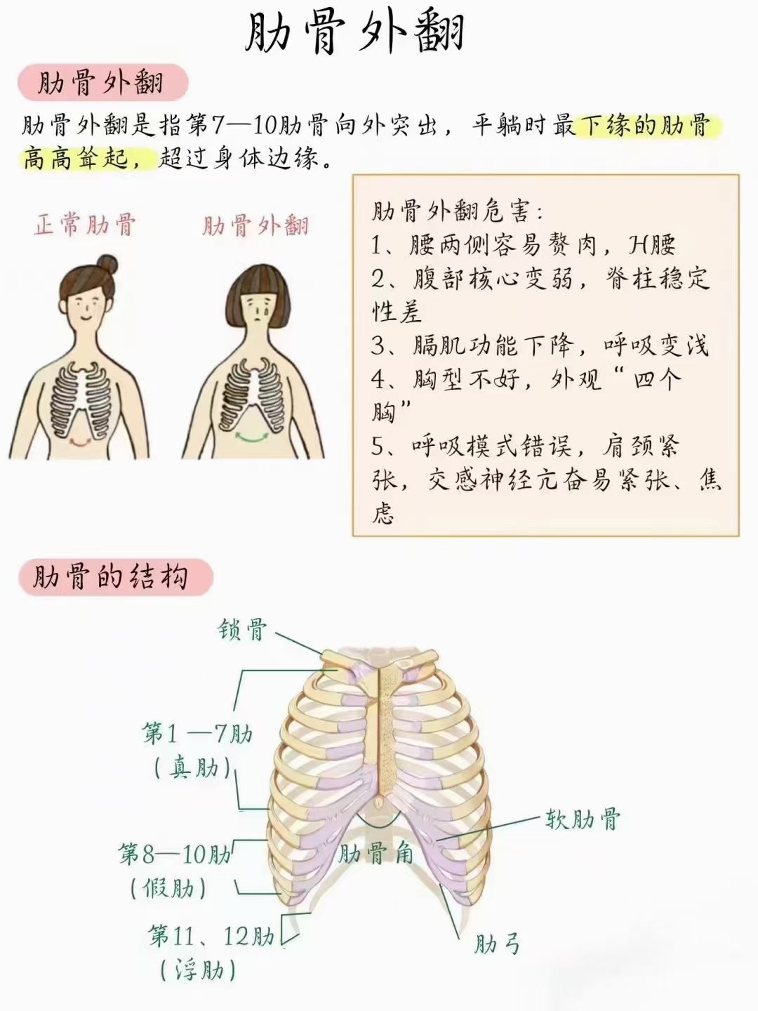 单侧肋骨外翻图片