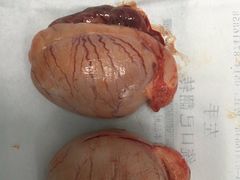 -佳怡动物医院·平价24小时·猫专科骨外科