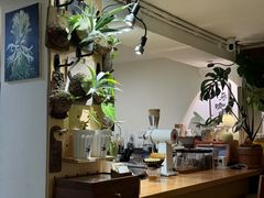 -本無咖啡·BeanWood Coffee