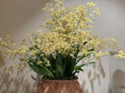 -阿南达·瑜伽普拉提·阿育吠陀疗愈中心