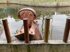 -常州淹城野生动物世界