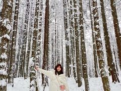-武陵山森林公园