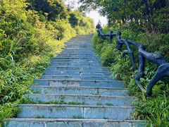 -梧桐山风景名胜区