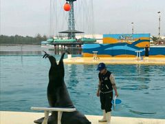 -秦皇岛乐岛海洋王国