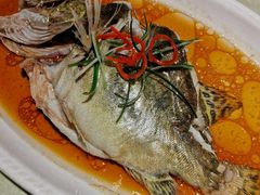 -金典银峰老鹅馆·昆山菜(亭林公园店)