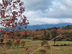 -塔川景区