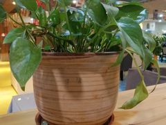 -马大胡子清真西北菜