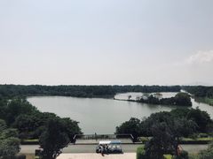 -大湾区中央湿地公园