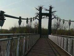 -西青郊野公园