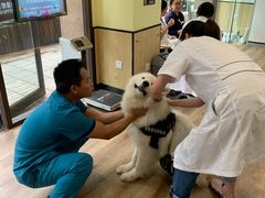 -派联宠物医院·24h·CT·异宠
