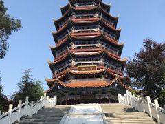 -铁山坪森林公园