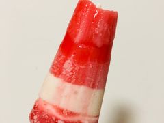 -盛华冷饮雪糕批发部