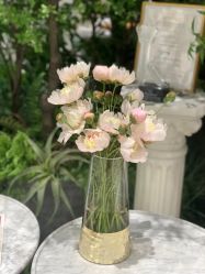 -MuseMarry婚纱(前海嘉里中心店)