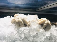 -铭聚章鱼土笋冻(松柏店)