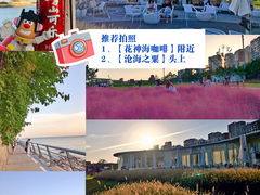 -小麦岛公园