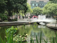 -常州古运河南大街文化旅游区-人民公园