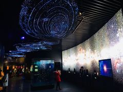 -贝林大翅鲸简餐厅(国家海洋博物馆店)