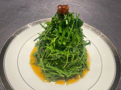 -香乐园·淮扬菜中餐厅·Shang Garden(福田香格里拉店)