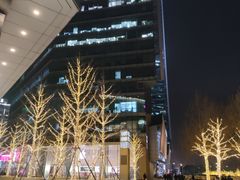 -大望路(地铁站)