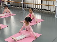 -舞霖精灵国际舞蹈教育中心(华创生活广场店)