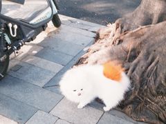 -YEEGIN COFFEE也径咖啡