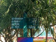 -火炉山森林公园