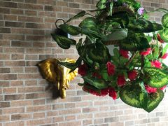 -忘忧草融合私房菜(红鼎国际店)