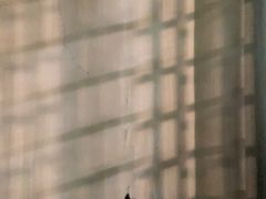 -国家图书馆·古籍馆