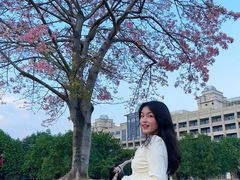 -风云岭森林公园
