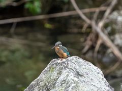 -雁荡山三折瀑景区