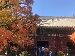 -香山公园