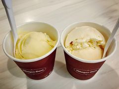 哈密瓜冰淇淋-哈根达斯(天河城店)