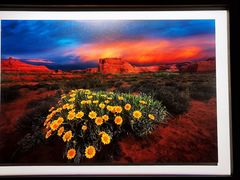 -罗红摄影艺术馆