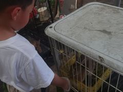 -马陆小张葡萄园农家乐