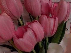 -循礼门鲜花花市(武汉循礼门店)