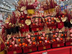 -麦德龙(浦东店)