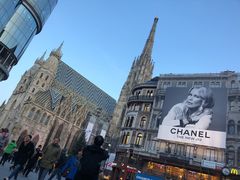 -斯蒂芬主教座堂(Stephansdom)